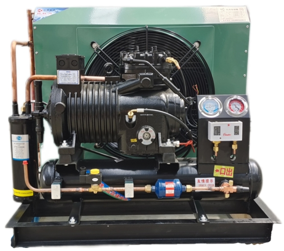 Bitze R Original Semi-Hermetic Air-Cooled Condensing Unit with Energy Saving Refrigeration