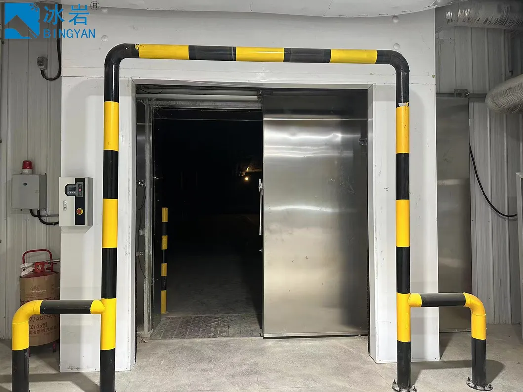 Cold Room Doors