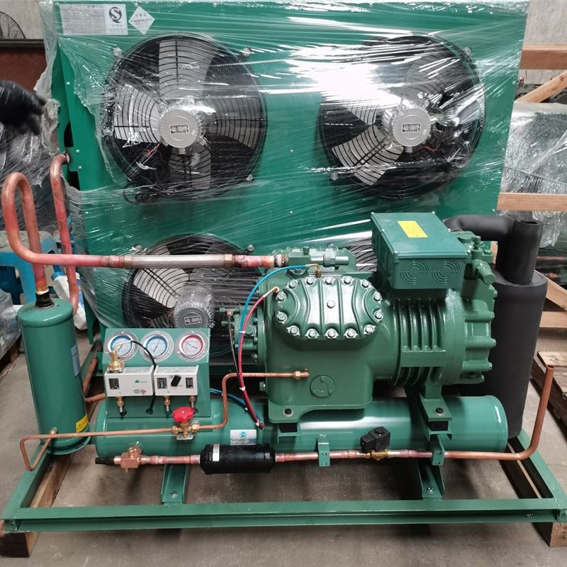 Energy Efficient 20HP Air Cooled Condensing Unit for Commercial and Industrial Cold Storage Solutions