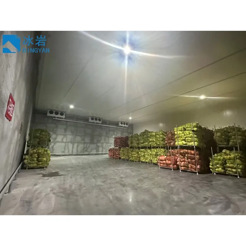 Cold Storage Facility 2