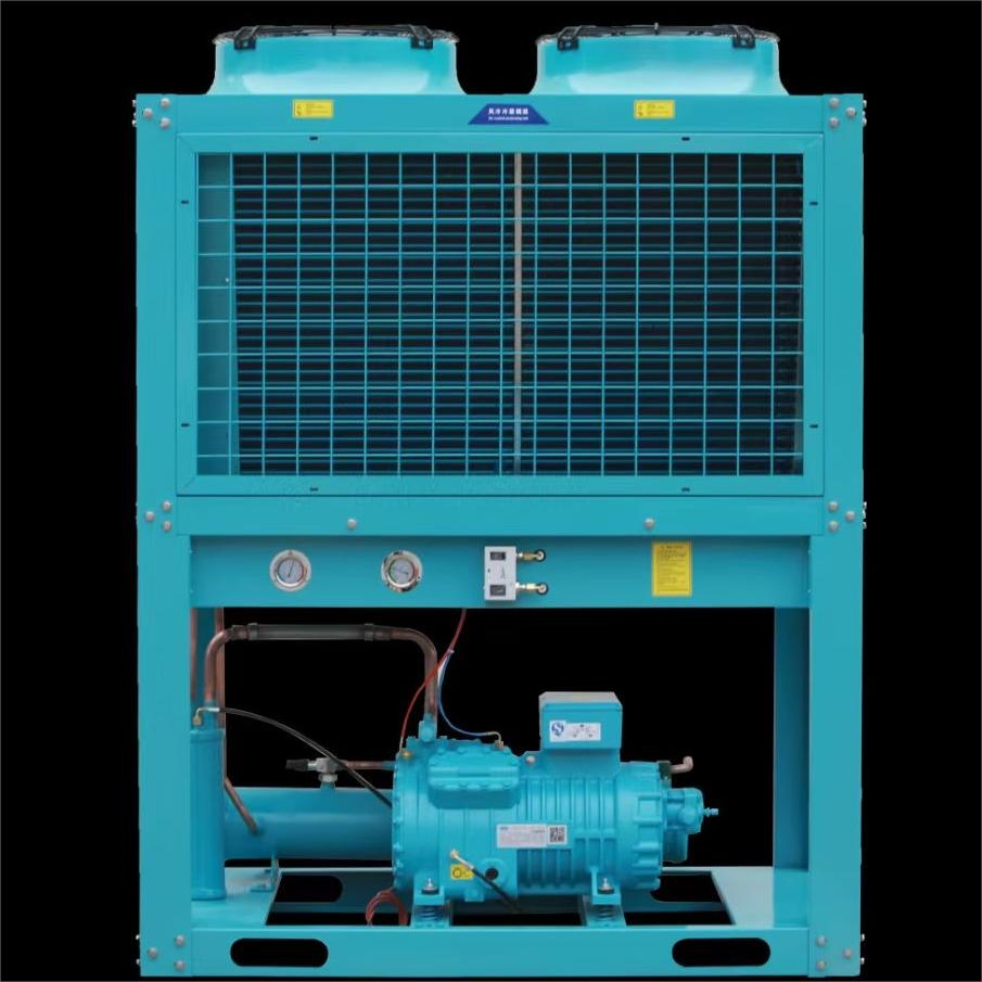 Energy-Efficient Low Temperature Refrigeration Condensing Unit for Cold Storage