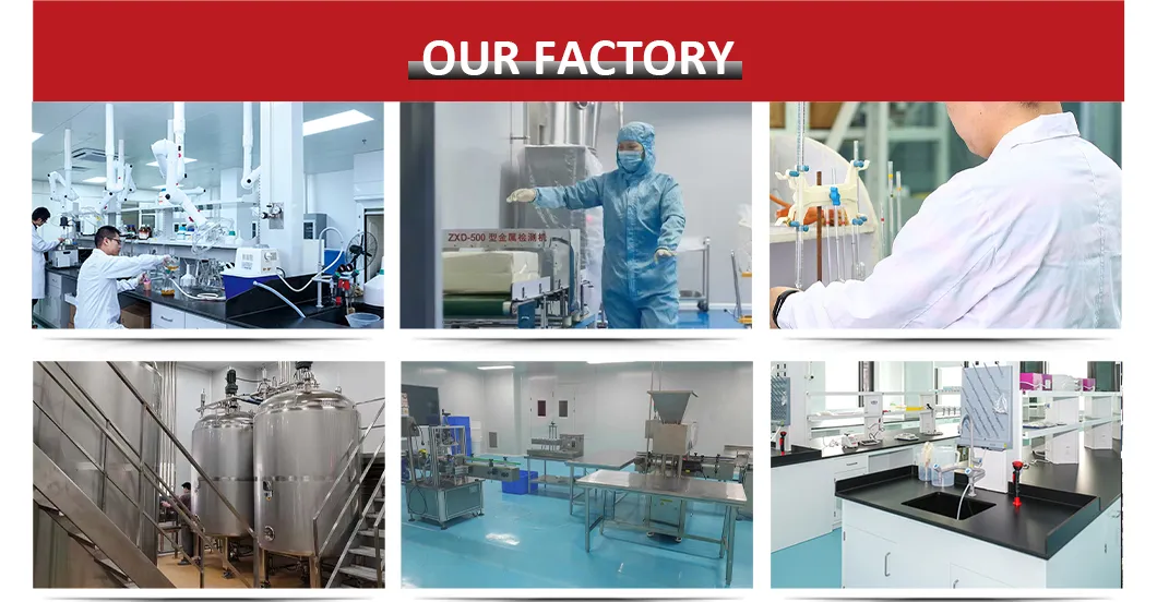 Production Line