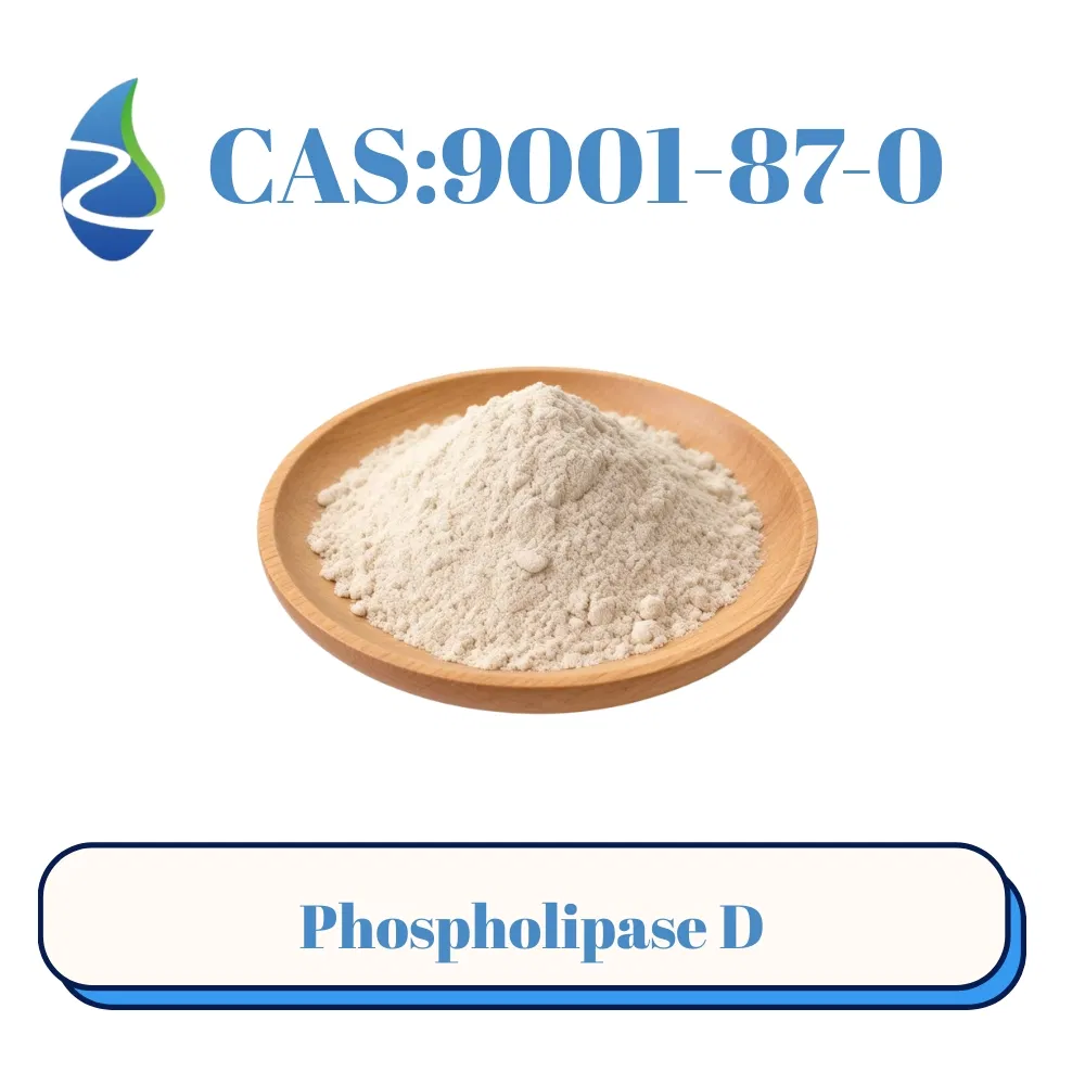 مكملات غذائية تحتوي على إنزيم فوسفوليباز د CAS 9001-87-0 لإنتاج PS