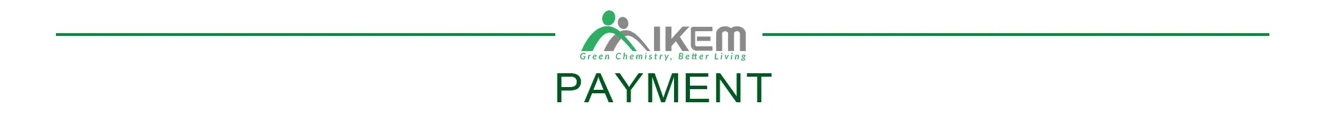 Payment Header