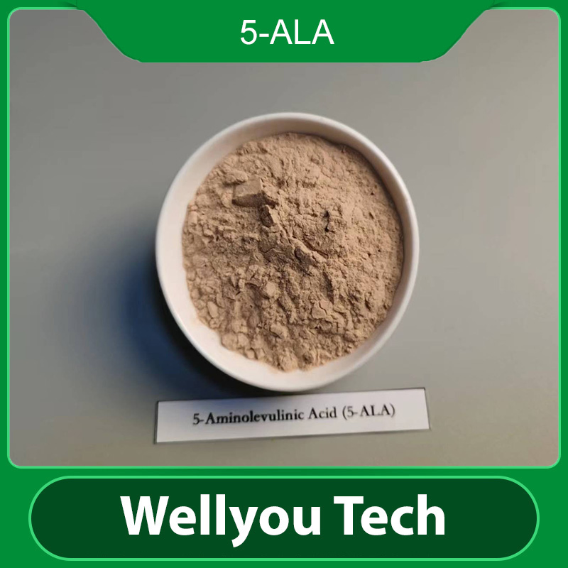 المواد الكيميائية الزراعية 5-Ala 5-Aminolevulinic حمض الهيدروكلوريك (5-ALA) من ويليو تكنولوجي