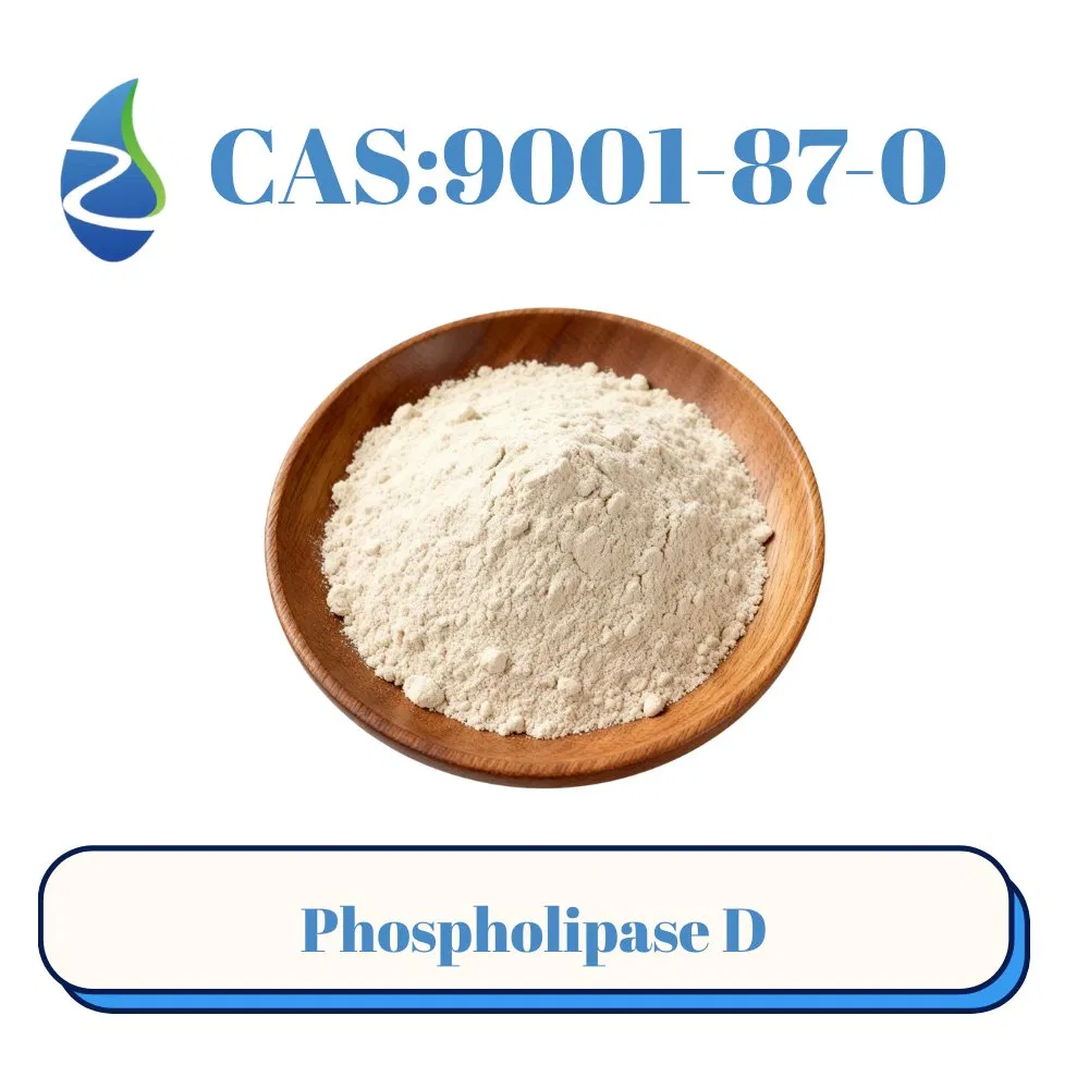 مكملات غذائية تحتوي على إنزيم فوسفوليباز د CAS 9001-87-0 لإنتاج PS