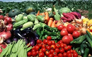 تحسين جودة التربة باستخدام السماد العضوي