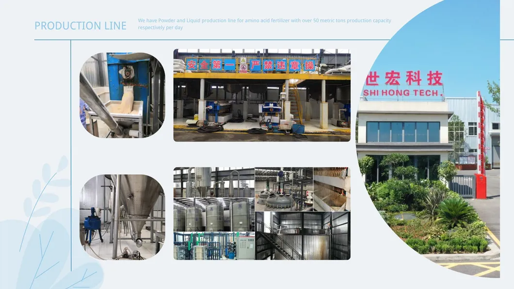 Production Line