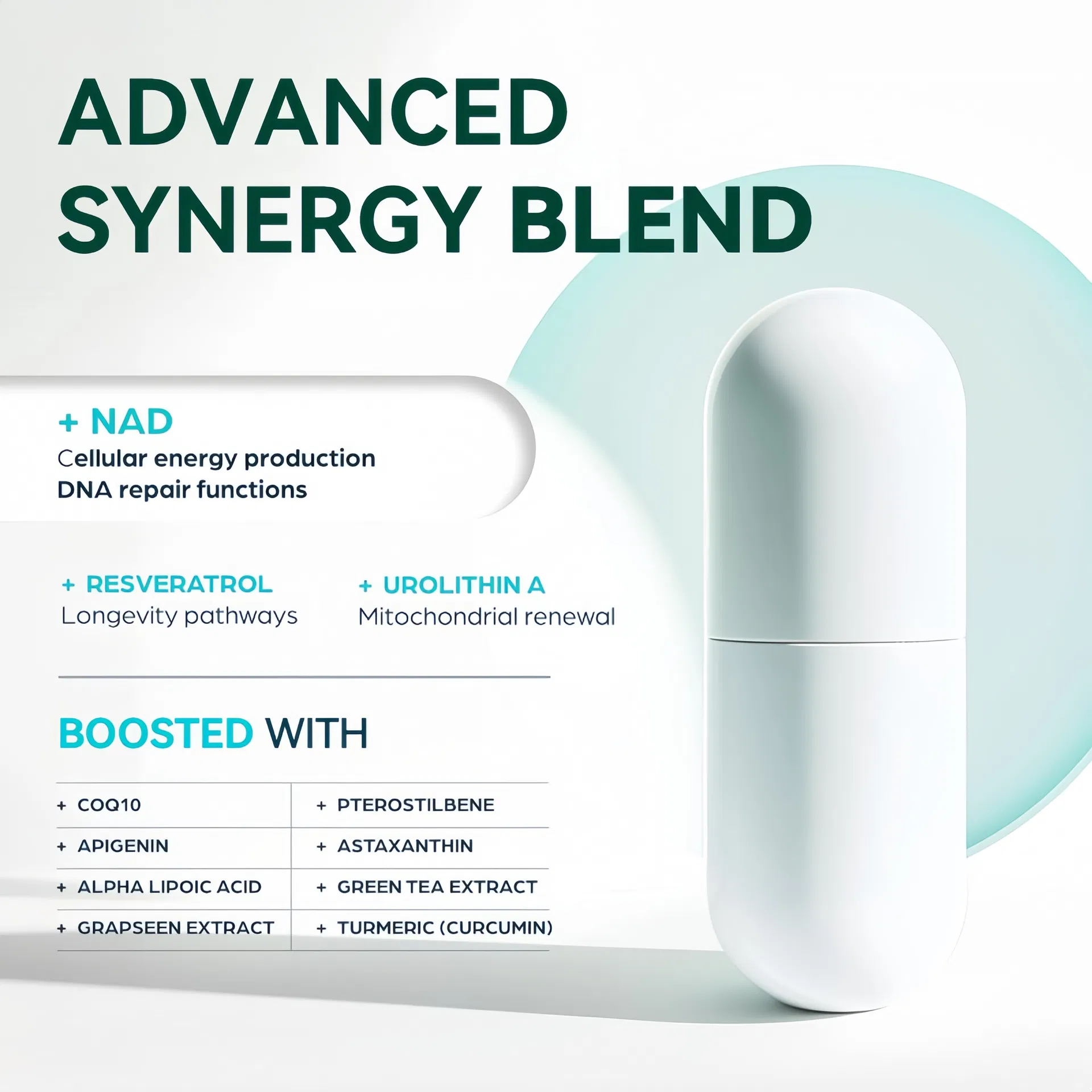 NAD+ Longevity