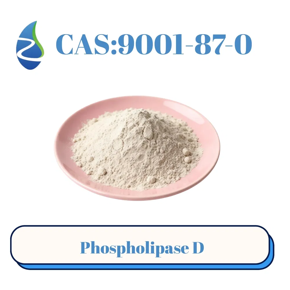 مكملات غذائية تحتوي على إنزيم فوسفوليباز د CAS 9001-87-0 لإنتاج PS