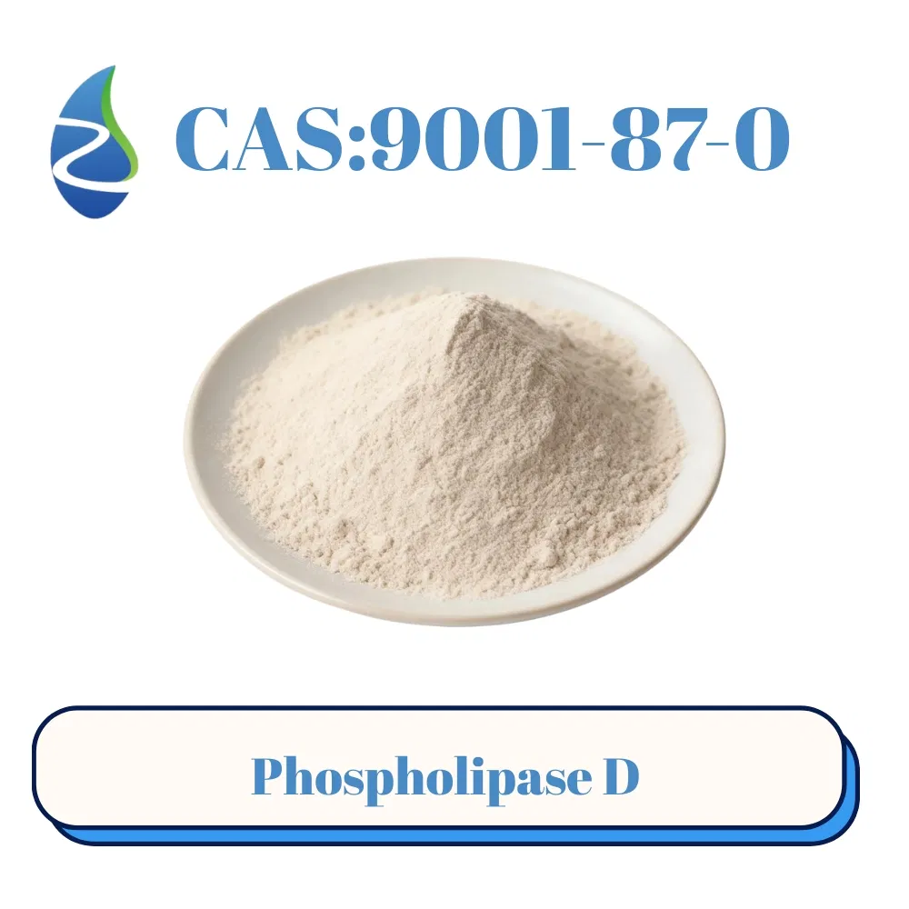 مكملات غذائية تحتوي على إنزيم فوسفوليباز د CAS 9001-87-0 لإنتاج PS