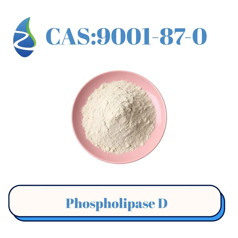 مكملات غذائية تحتوي على إنزيم فوسفوليباز د CAS 9001-87-0 لإنتاج PS