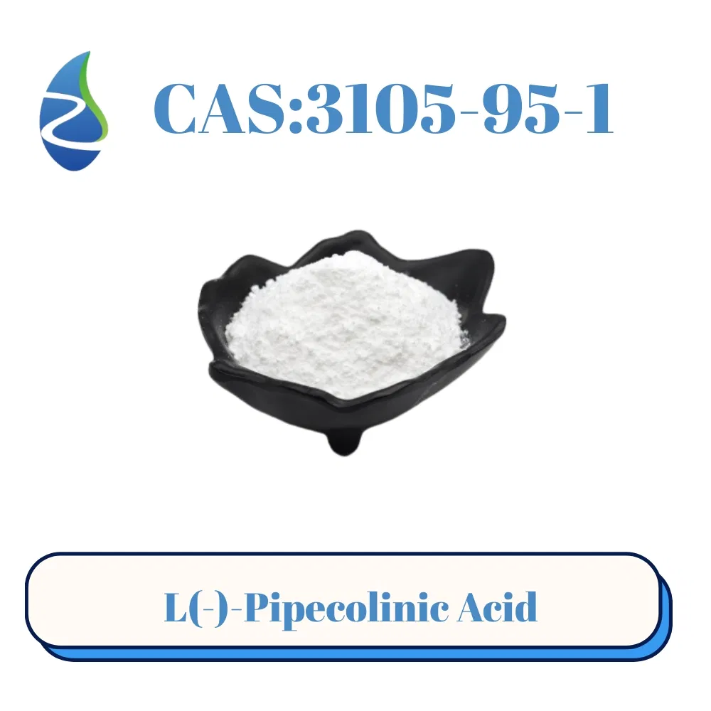 حمض عديم الرائحة: حمض L-Pipecolic عالي الجودة مع 99 2% نقاء CAS 3105-95-1