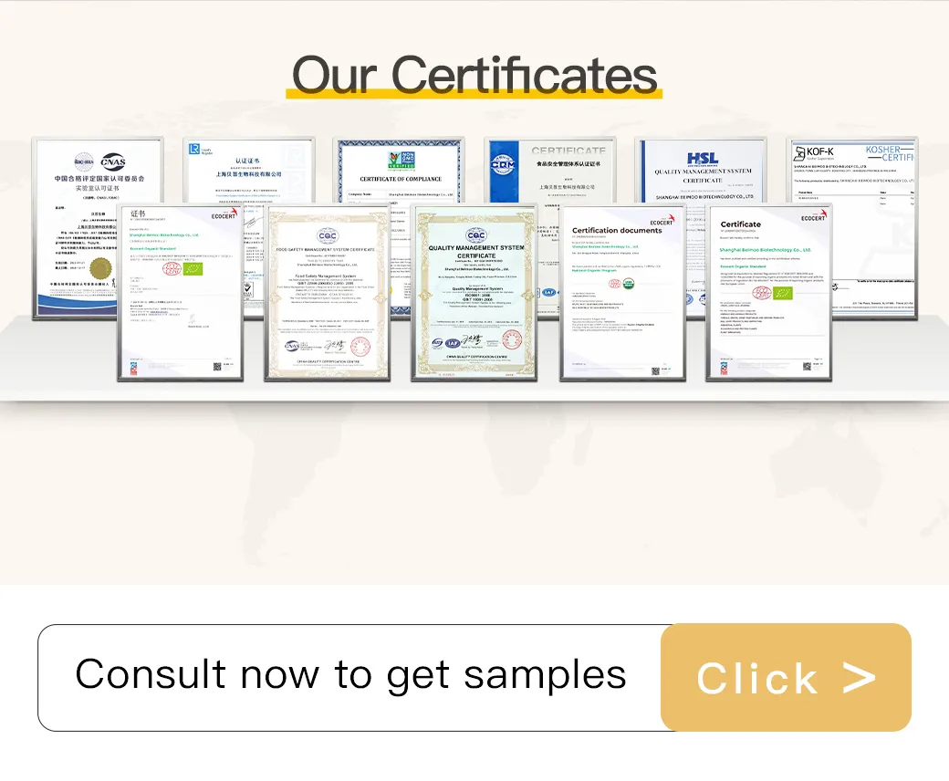 Cert 3