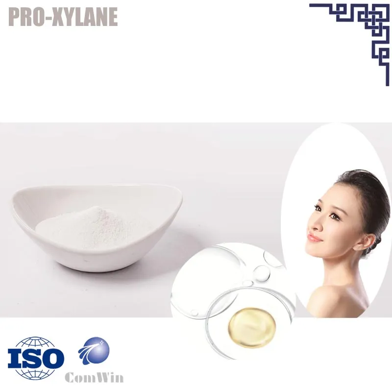 PROXYLANE
