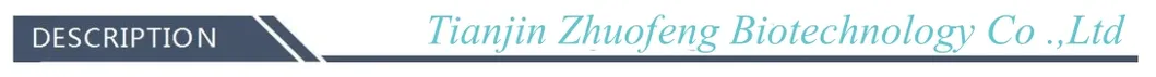 مضاف غذائي بالجملة رقم 56-86-0 حمض L-جلوتاميك