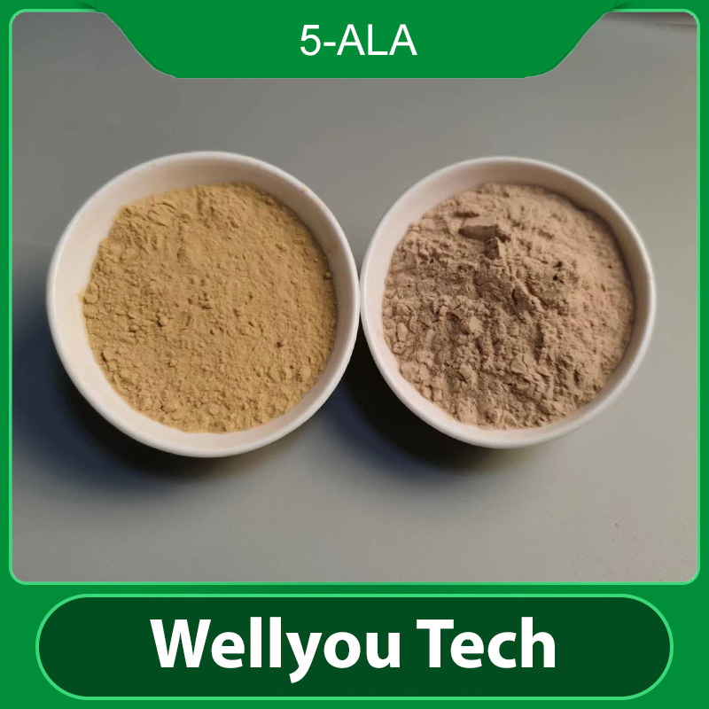 المواد الكيميائية الزراعية 5-Ala 5-Aminolevulinic حمض الهيدروكلوريك (5-ALA) من ويليو تكنولوجي