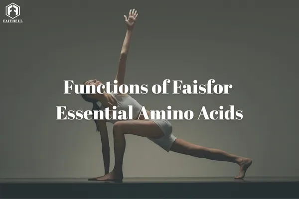 EAA Functions