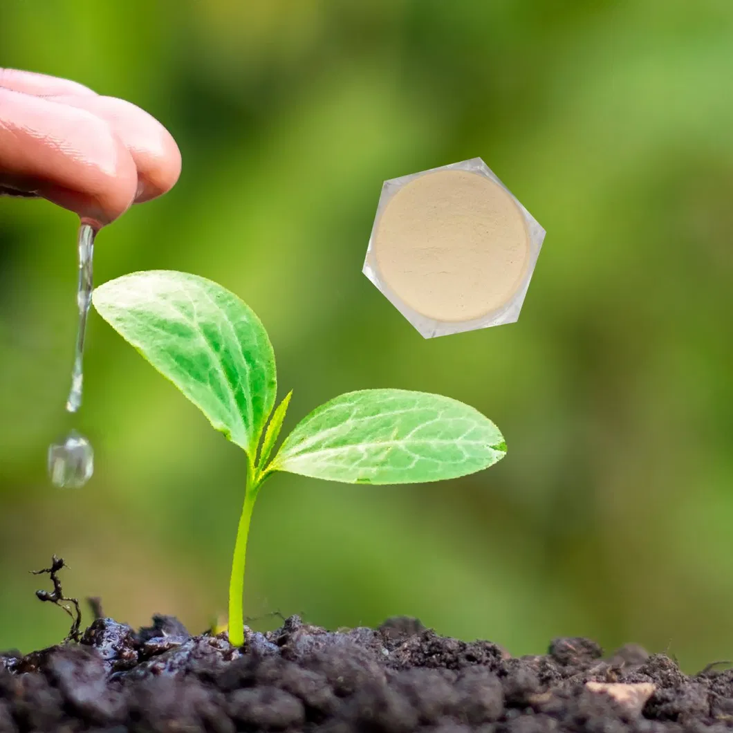 مسحوق الأحماض الأمينية المستمدة من النباتات 70% سماد عضوي