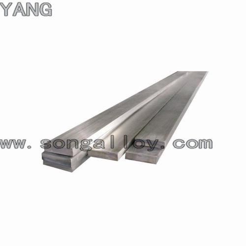 Building Material Stainless Steel Flat Bar (304 316 321 2205)