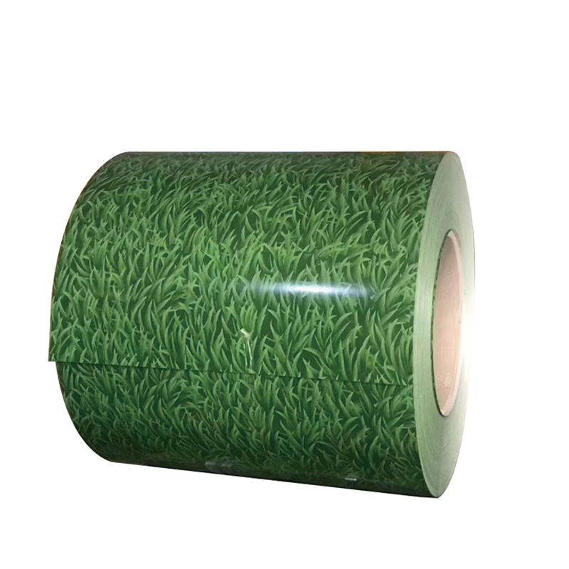 Prepainted Galvanized Color Painted Galvanized Steel Coil Steel Coil