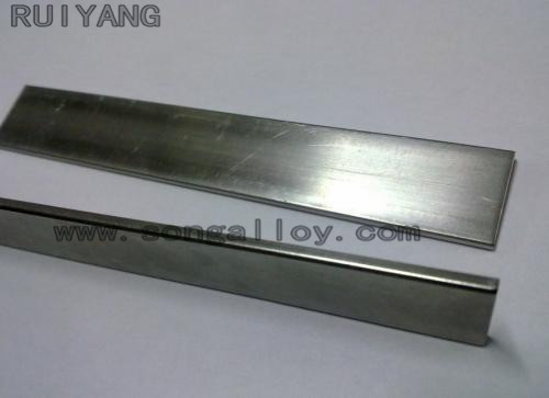 Building Material Stainless Steel Flat Bar (304 316 321 2205)