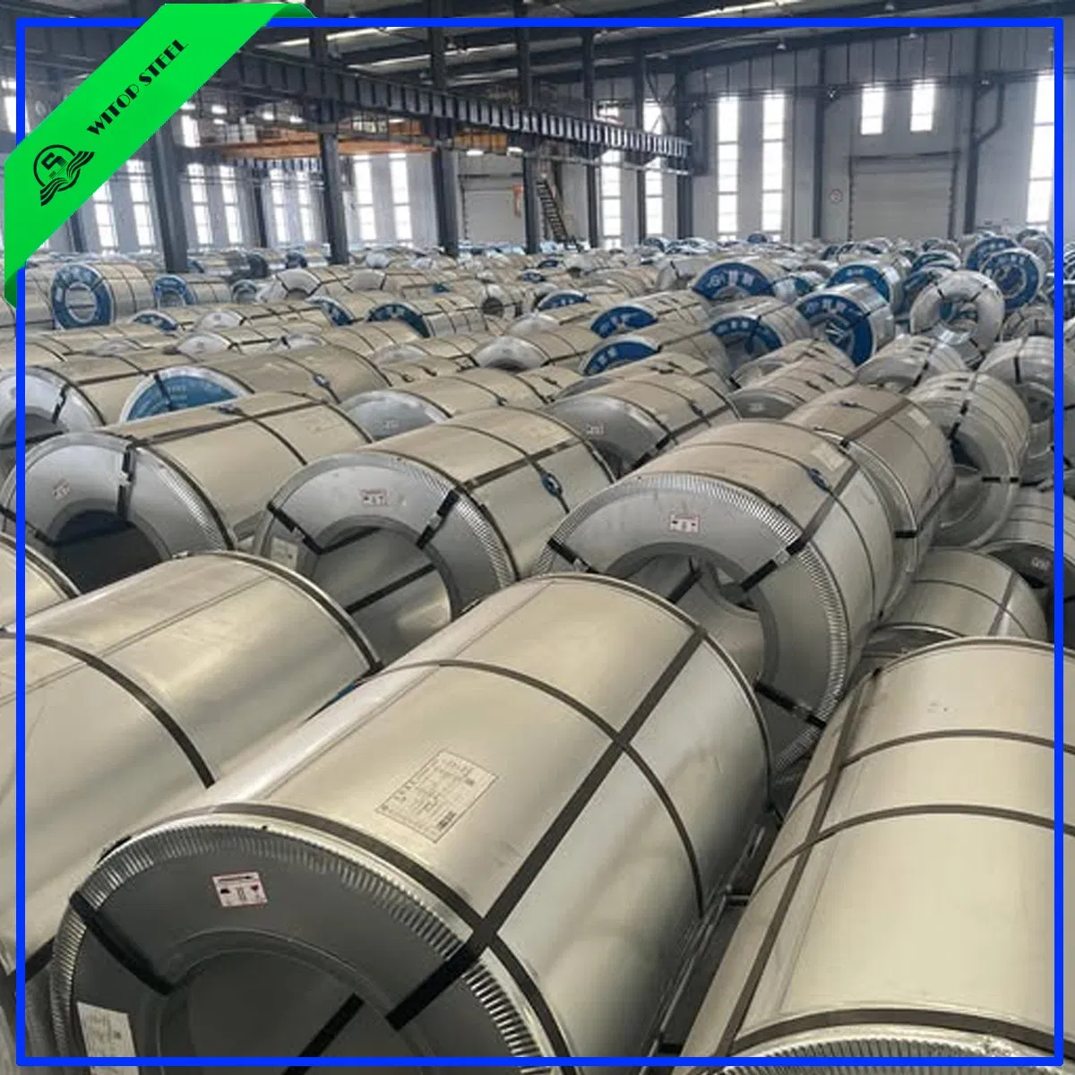 New Design Flower Pattern Color Coated Prepainted Galvanized Steel Coil for PPGI PPGL