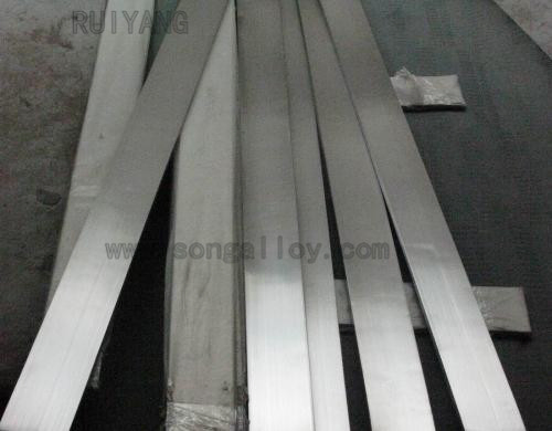 Building Material Stainless Steel Flat Bar (304 316 321 2205)