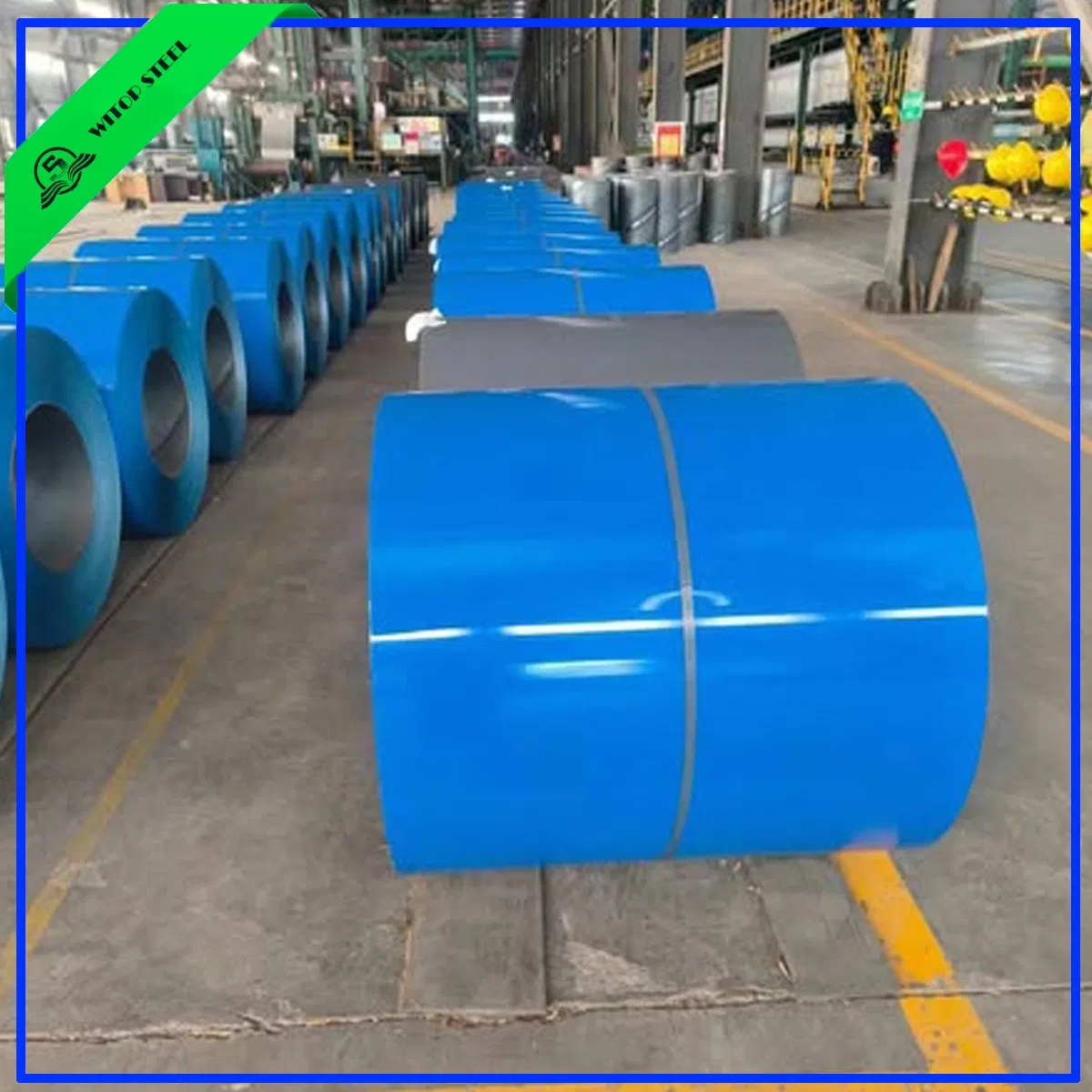 New Design Flower Pattern Color Coated Prepainted Galvanized Steel Coil for PPGI PPGL