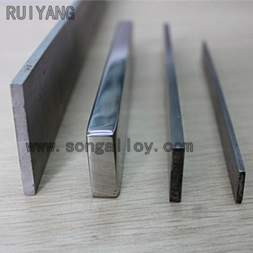 Building Material Stainless Steel Flat Bar (304 316 321 2205)