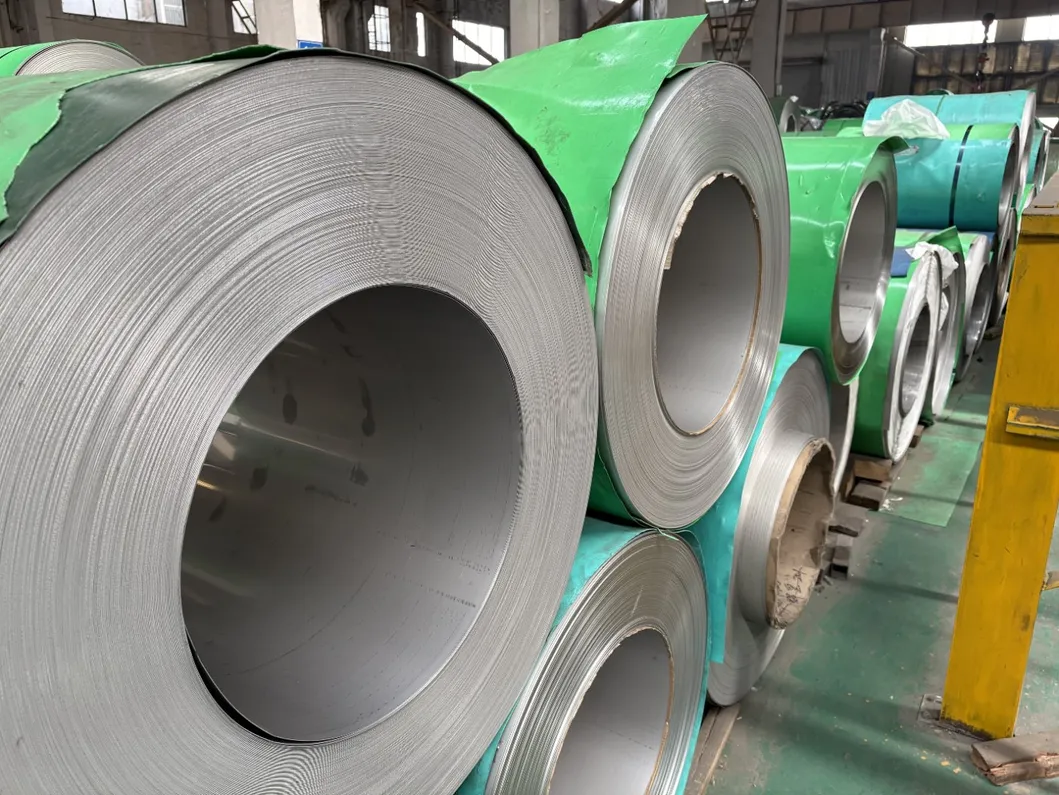 Spring Stainless Strip