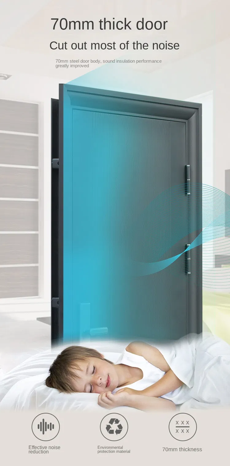 Security Door Detail 4