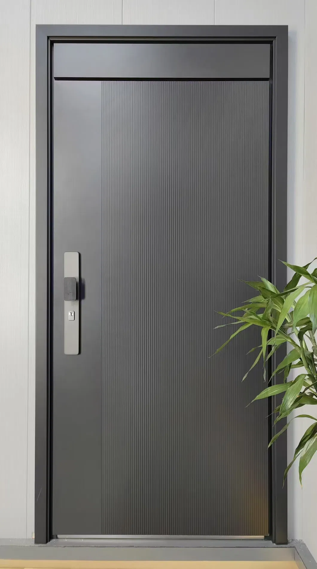 Security Steel Door View 2