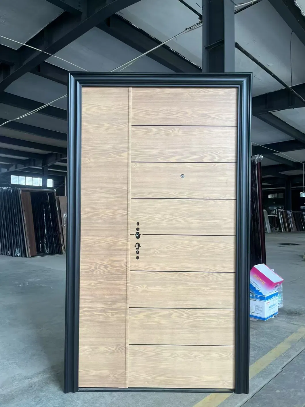 Security Steel Door View 4