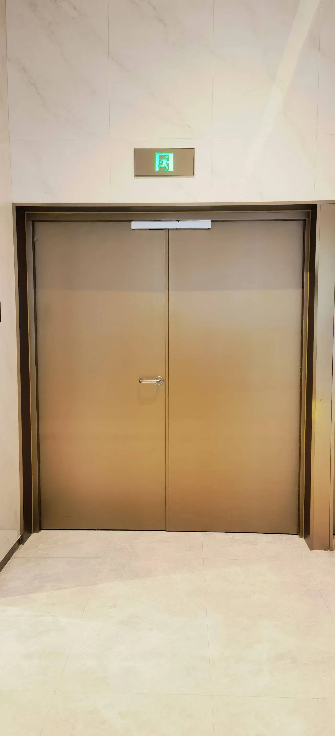 Premium Fire Rated Steel Doors for Ultimate Safety Solutions
