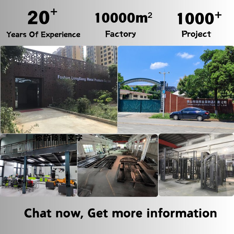 Custom Size Arched Entry Metal Steel Iron Glass Door Double Front Exterior Iron French Door