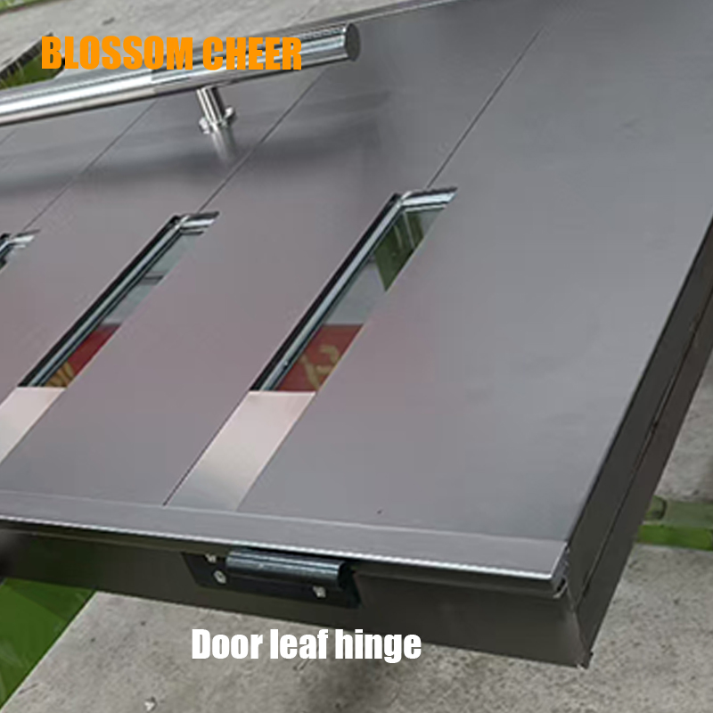 Luxury Safety Security Steel Iron Metal Main Entrance Front House Gate Door