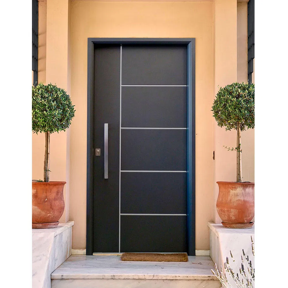 European Design House Main Entrance Aluminum Pivot Stainless Steel Exterior Entry Doors