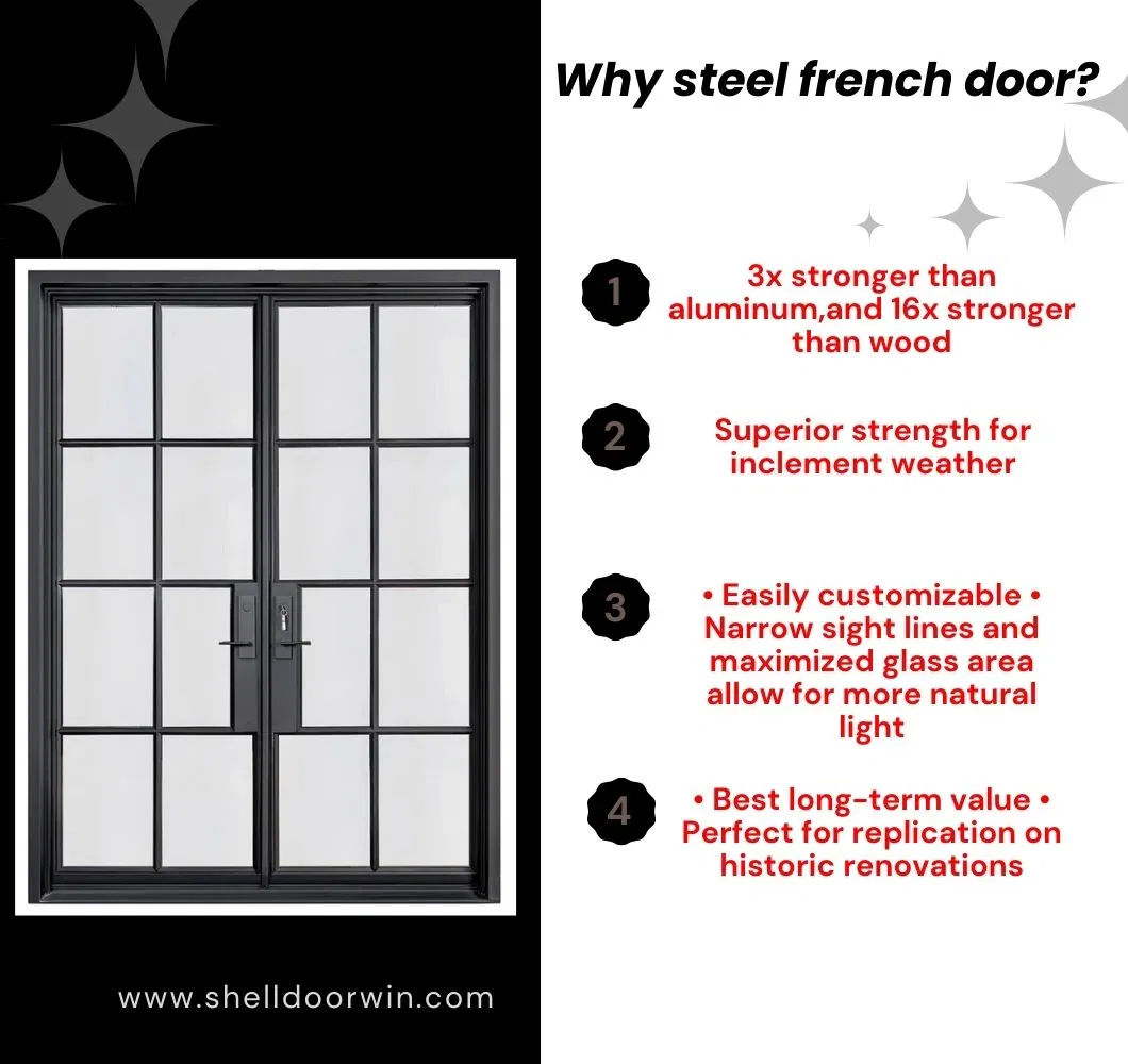 Minimalist French Style Door