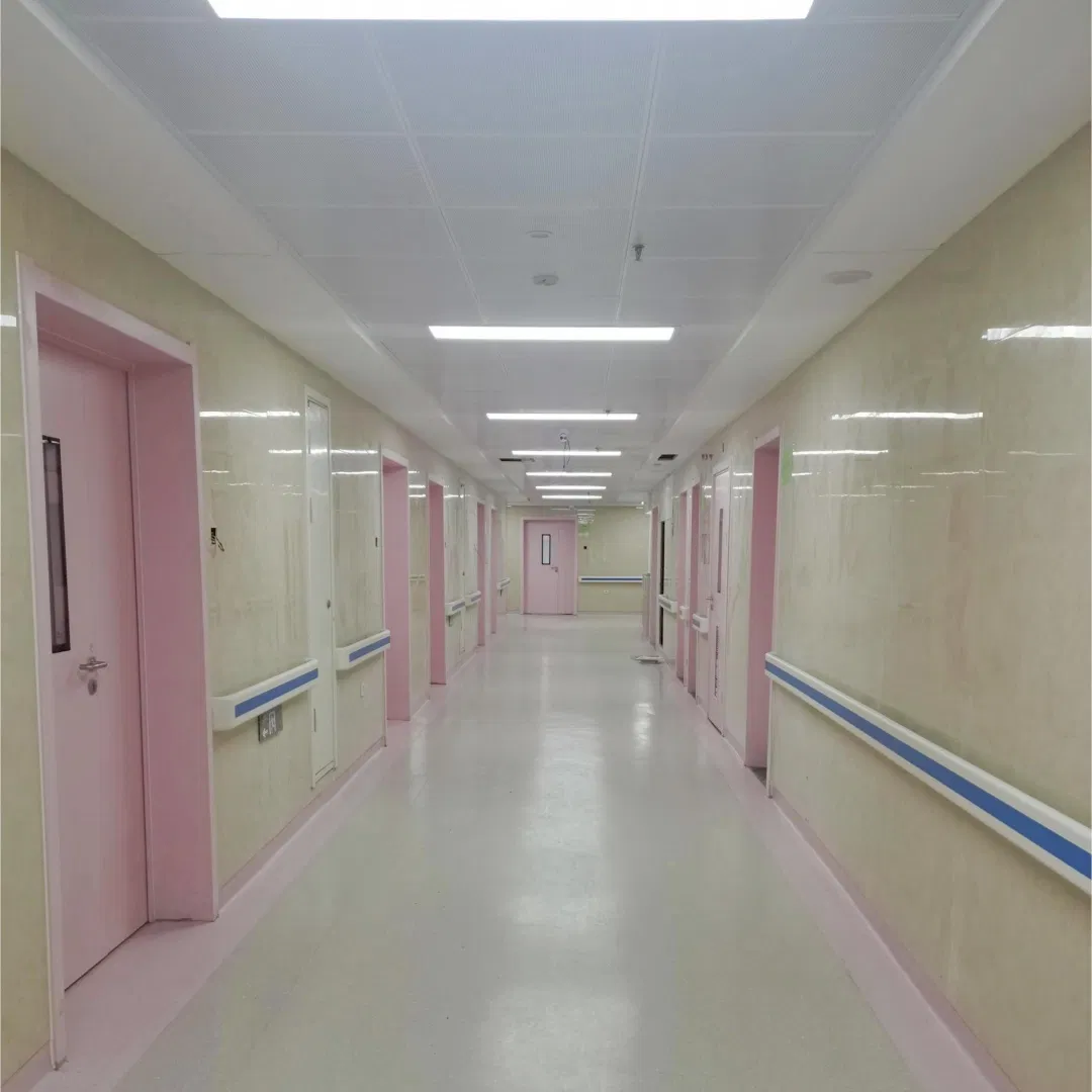 Customizable Color Swing Steel Door for Clean Rooms