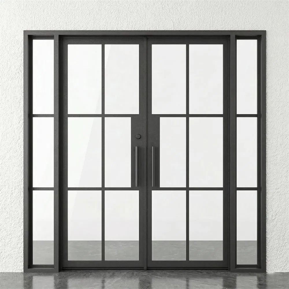 Minimalist French Style Slim Thermal Break Steel Glass Doors with Insulated Foam