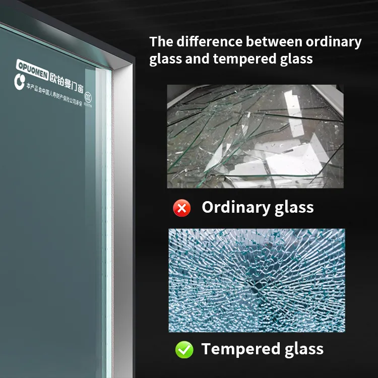 Aluminum Glass Door 11