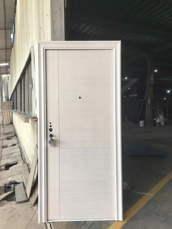 Security Steel Door View 5