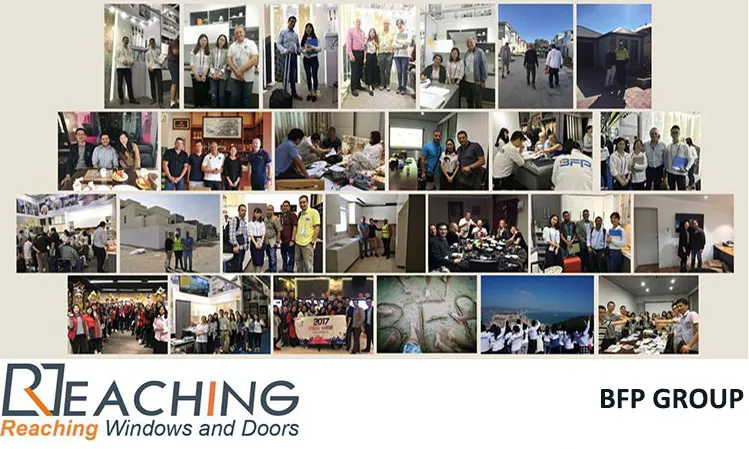 Our Professional Team