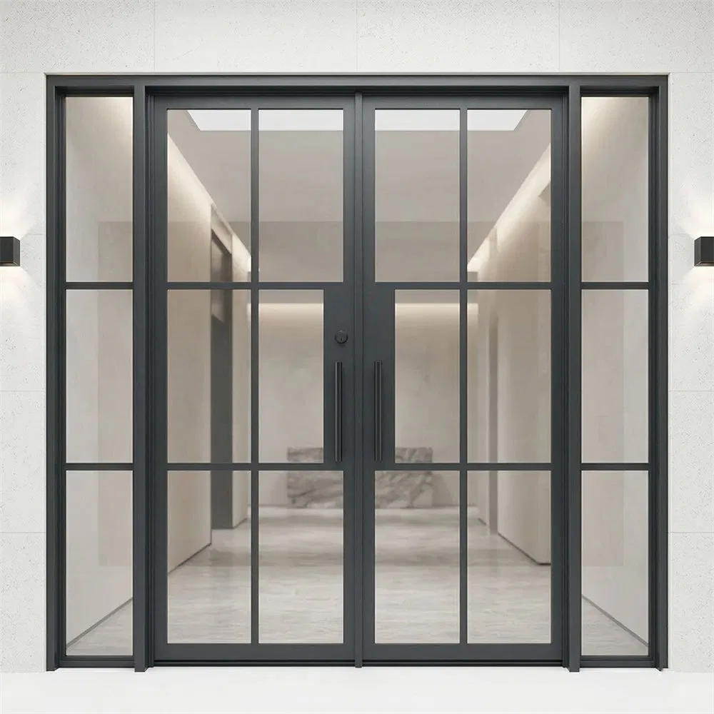 Anti-Rust Affordable Iron Door French Double Steel Glass Door for Residential Project Entrance