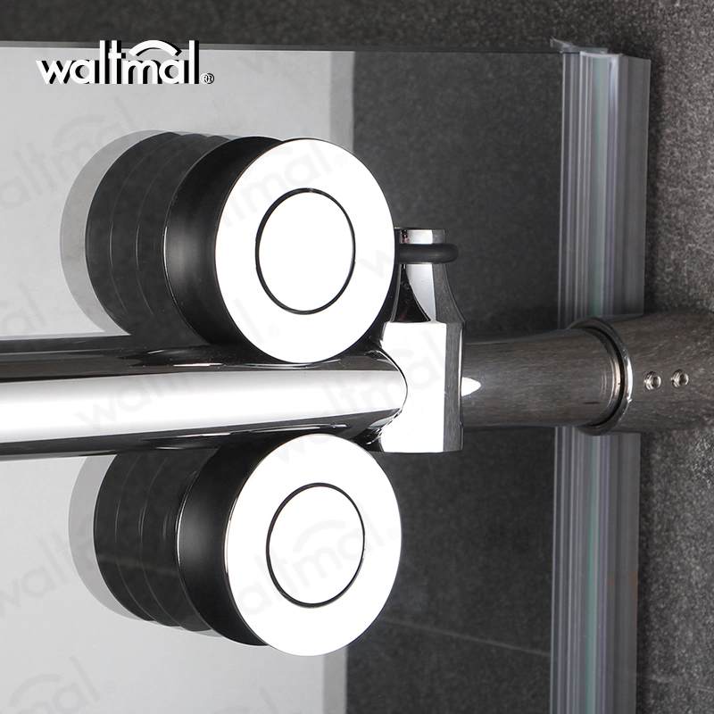 with Side Panel Return Panel Double Glass Sliding Shower Door