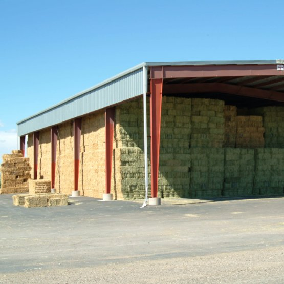 Quick Installation Steel Frame Hay Storage Shed Barn Steel Structure Building Project Solutions
