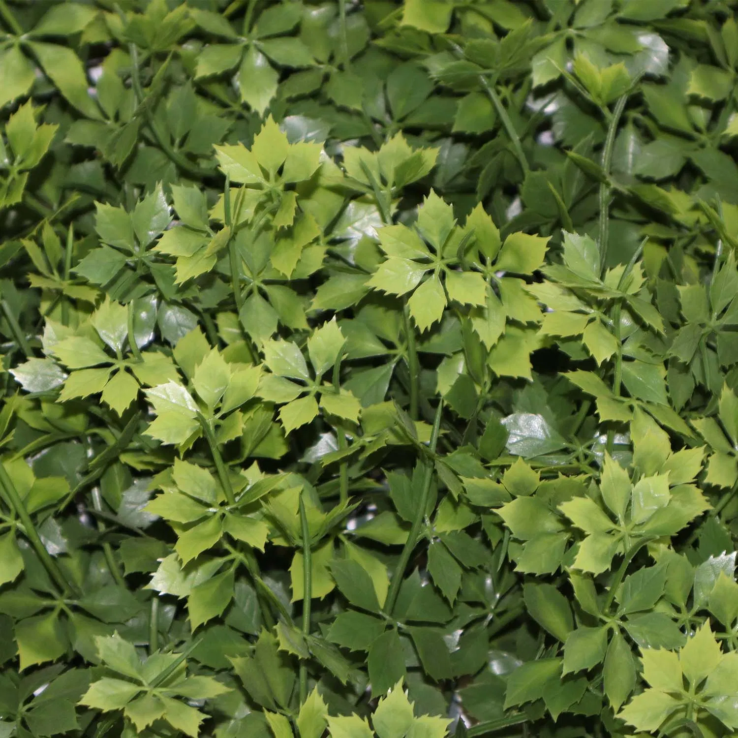 Artificial Grass Wall Boxwood Hedge Panels Plastic Creeper Leaves Artificial Green Wall Moss System for Decoration