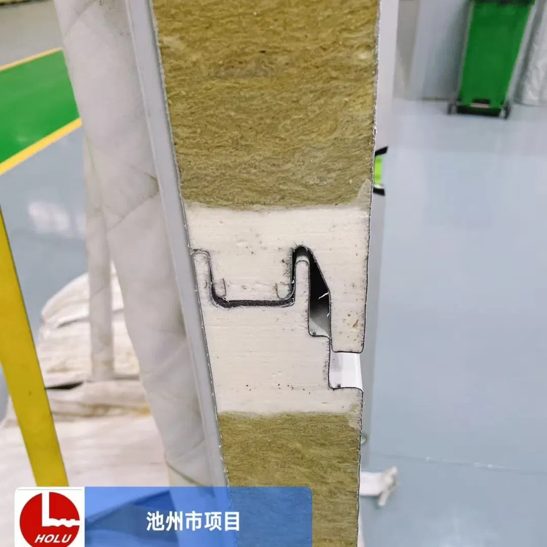 Environmentally Friendly Recyclable Insulated Sandwich Panel for Sustainable Building Envelopes