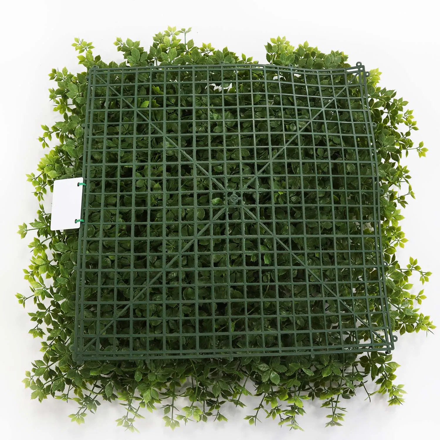 Artificial Grass Wall Boxwood Hedge Panels Plastic Creeper Leaves Artificial Green Wall Moss System for Decoration